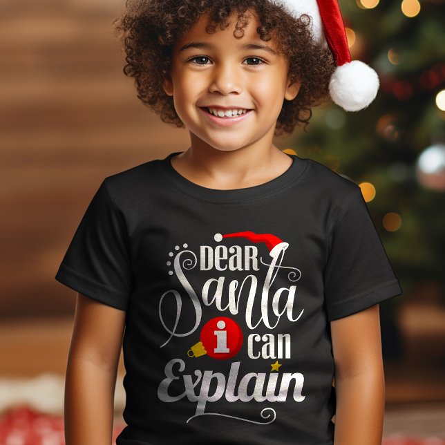 Kära Tomte, Jag Kan Förklara Rolig Jul Tröja (Skapare uppladdad)