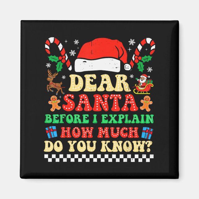 Kära tomte jag kan förklara Roligt jul Xmas Squad Magnet (Framsidan)