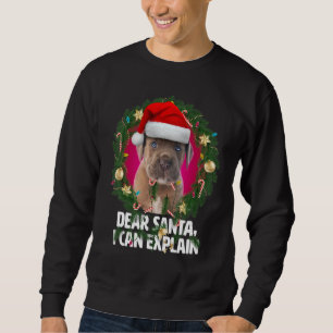 Kära tomte söta Cane Corso-valp - Busig till jul Lång Ärmad Tröja