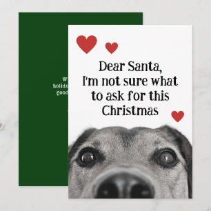 Kära tomte söta valp jul grön rolig julkort