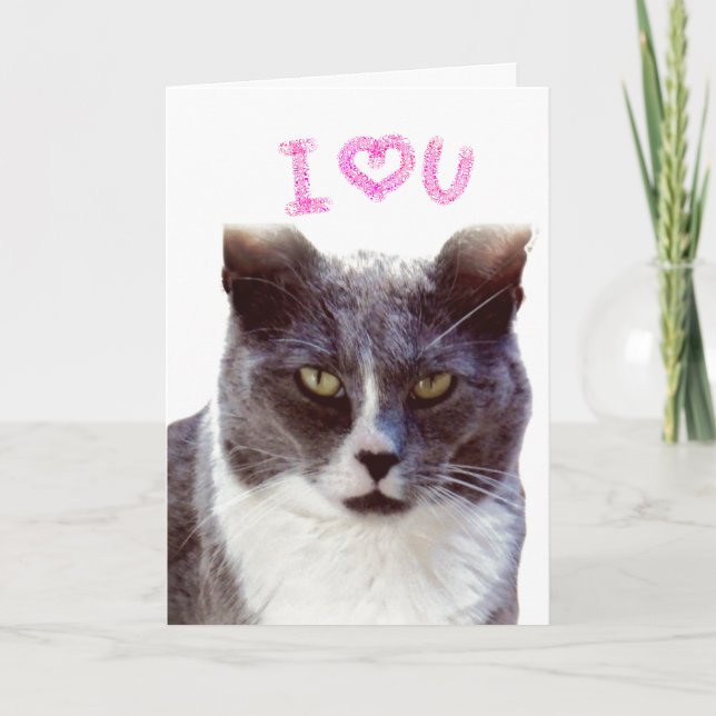 Kära Valentine från din katt Julkort Helgkort (Framsida)