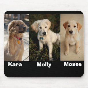 Kara vinkar, Moses, den mer unga mollyen, Moses, Musmatta