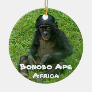 Karaktär Bonobo Ape Julgransprydnad Keramik