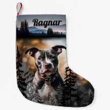 Karaktäristiskt lager