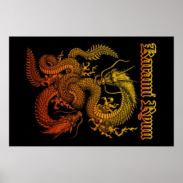 Karami Ryuu 1a Poster (Framsidan)