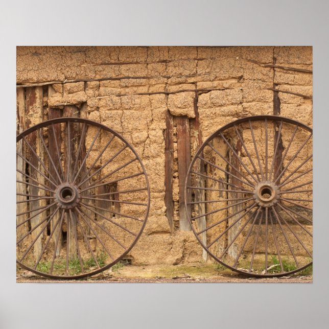 Karanambu Ranch, Savannah, Rupununi, Guyana, gamma Poster (Framsidan)