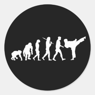 Karate älskare Dojo-träningsgåva Runt Klistermärke