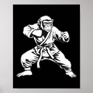 Karate Apa Taekwondo Kickboxning Mma Judo Apa Poster