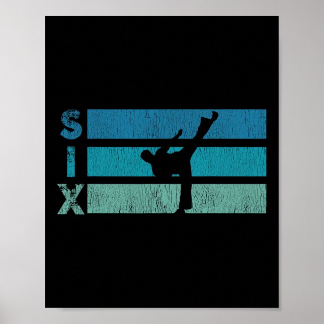 Karate Birthday 6 Year Taekwondo Boy 6e Birt Poster (Framsidan)