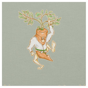 Karate carrot martial Arts Tyg