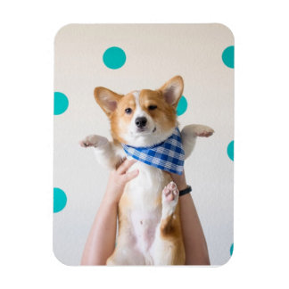karate corgi magnet