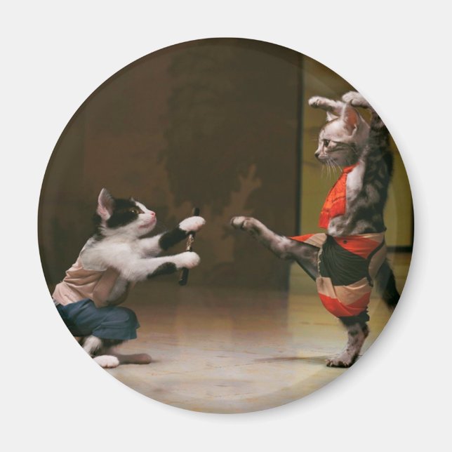 Karate-katter Magnet (Framsidan)