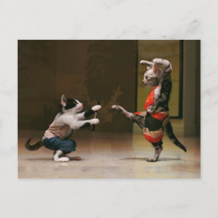 Karate-katter Vykort