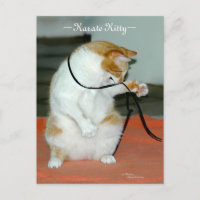 Karate Kattunge spelar upp vykort