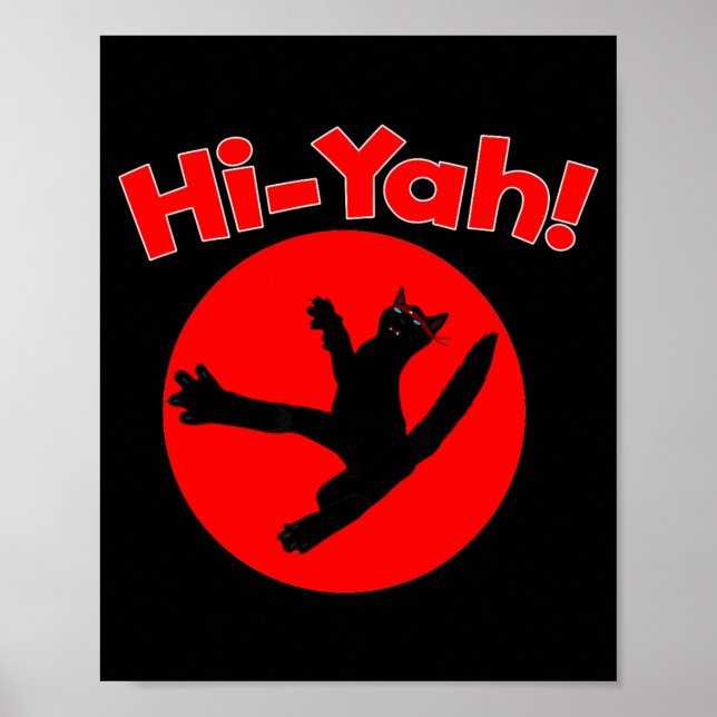 Karate Kiai Ninja Katt Kampkonst Poster (Framsidan)