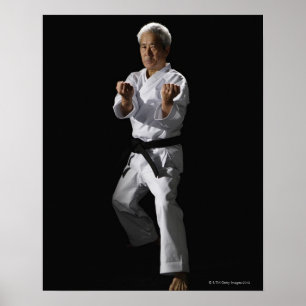Karate master, porträtt, studio shot 2 poster