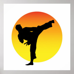 Karate sparkar Silouette. Poster