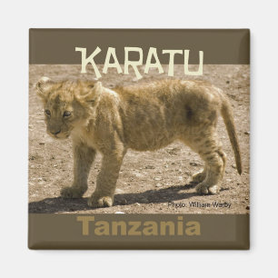 Karatu Tanzania Afrika Fridge Magnet Lejonare Unge