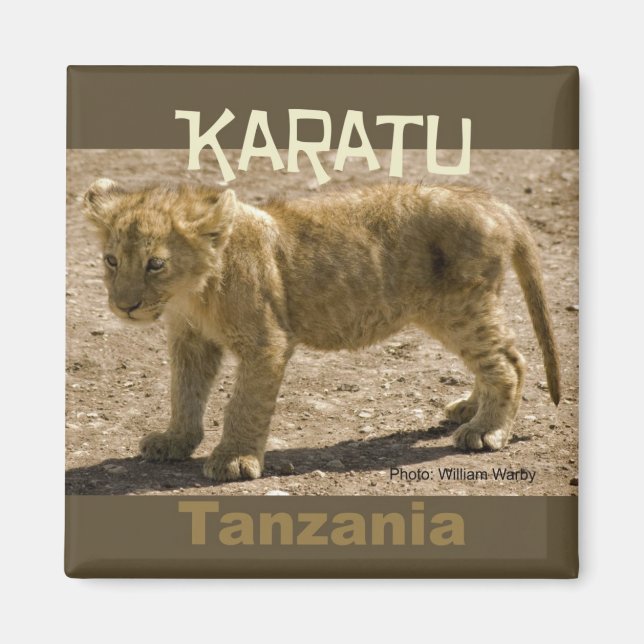Karatu Tanzania Afrika Fridge Magnet Lejonare Unge (Framsidan)