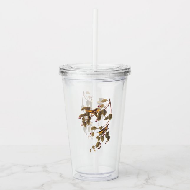 Karbonad Warbler Audubon Bird Take Away Mugg (Framsida)
