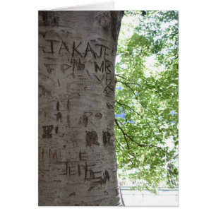 Kardad i naturfoto i Träd Central Park Hälsningskort