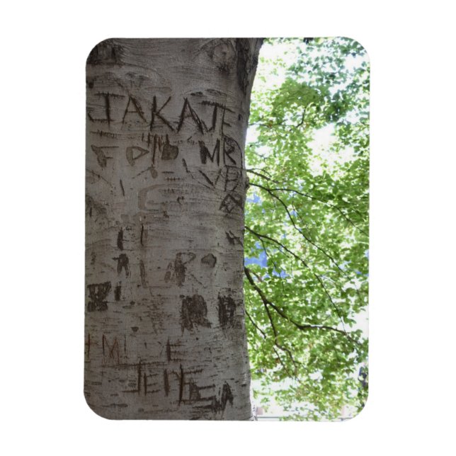 Kardad i naturfoto i Träd Central Park Magnet (Vertikal)