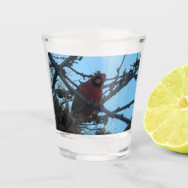 kardinal