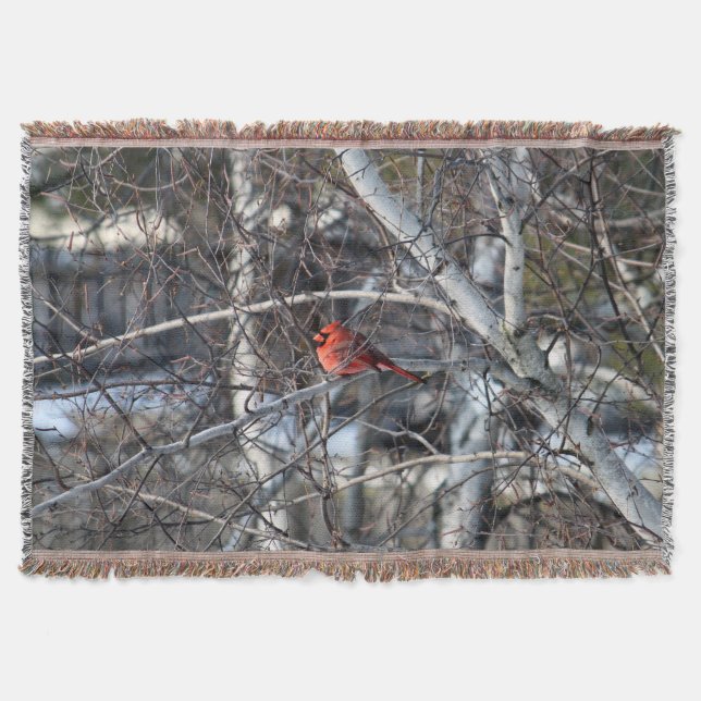 Kardinal 2926 Blanketthöjd Filt (Framsidan)