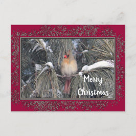 Kardinal 3225 Snö Gräs Ram Vykort