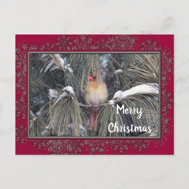 Kardinal 3225 Snö Gräs Ram Vykort (Framsida)