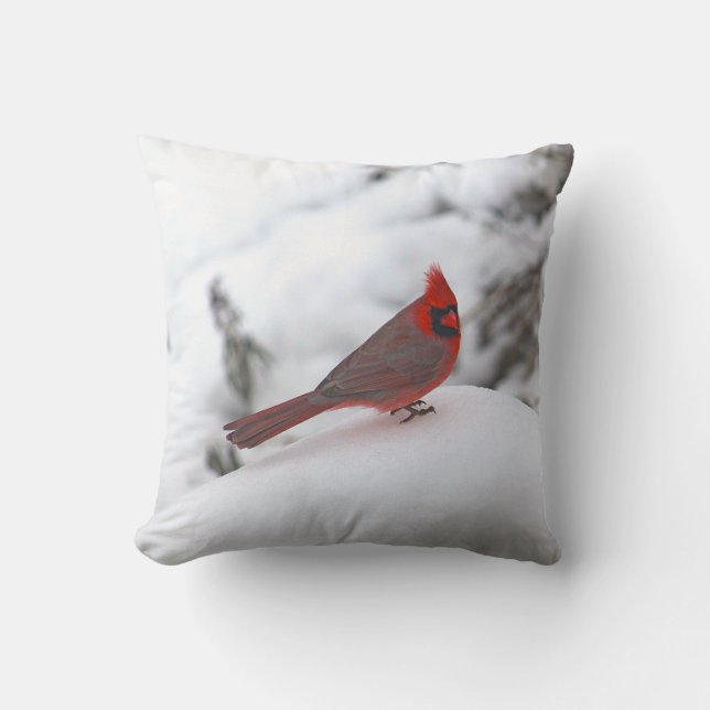 Kardinal 6241 Pillow Kudde (Framsida)