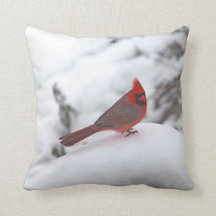 Kardinal 6241 Pillow