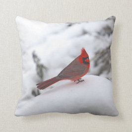 Kardinal 6241 Pillow Kudde