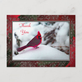 Kardinal 6241 Ram TY-vykort Vykort