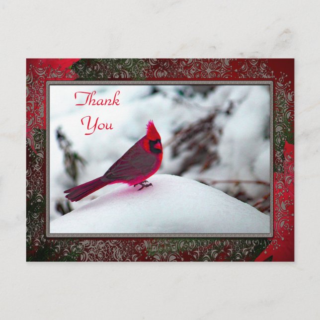 Kardinal 6241 Ram TY-vykort Vykort (Framsida)