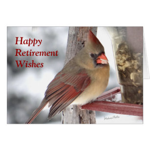 Kardinal 6649 xc - skräddarsy hälsningskort