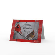 Kardinal 9191 fv- anpassa för valfri tillfälle