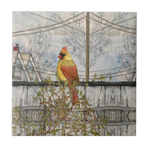 Kardinal av honkön i Ceramic Tile i staden Kakelplatta