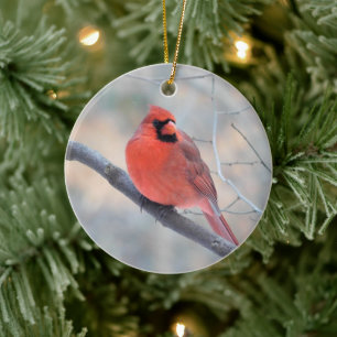 Kardinal Bäck Ornament