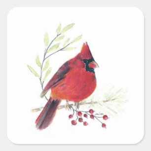 Kardinal Bird Art Fyrkantigt Klistermärke