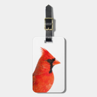 Kardinal Bird Bagagebricka