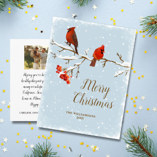 Kardinal Bird God jul Family Photo Postcar Vykort