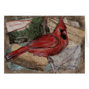 Kardinal Bird-målning Hälsningskort
