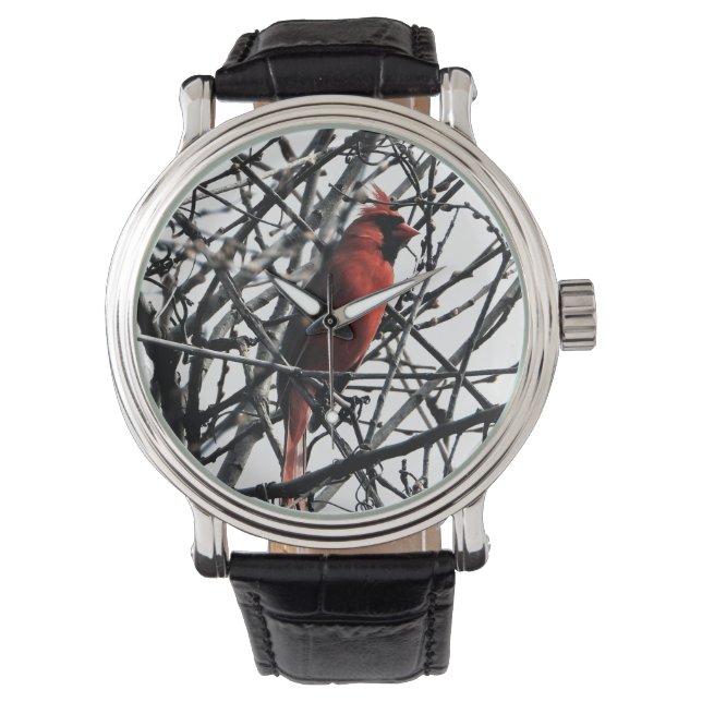 Kardinal Bird Watch Armbandsur (Framsida)