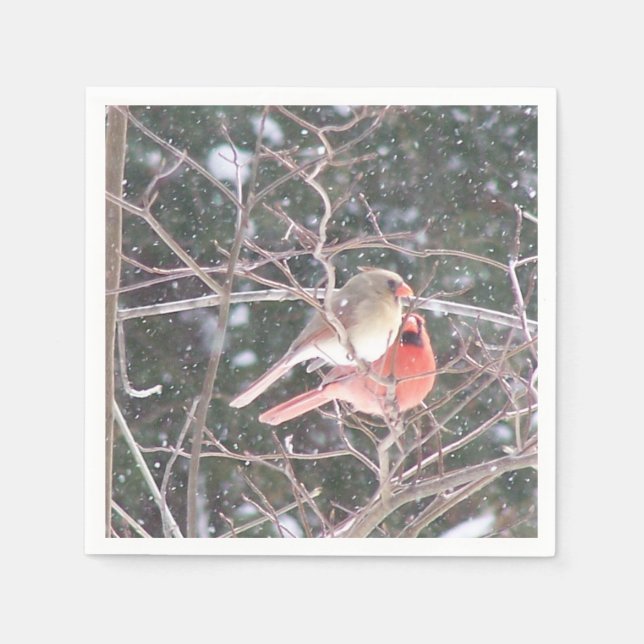 Kardinal Cocktail Napkins Pappersservett (Framsidan)