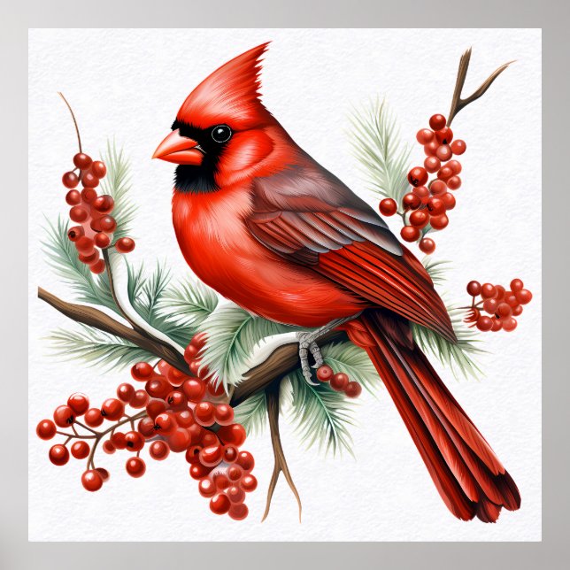 Kardinal Dekorativ kudde Poster (Framsidan)