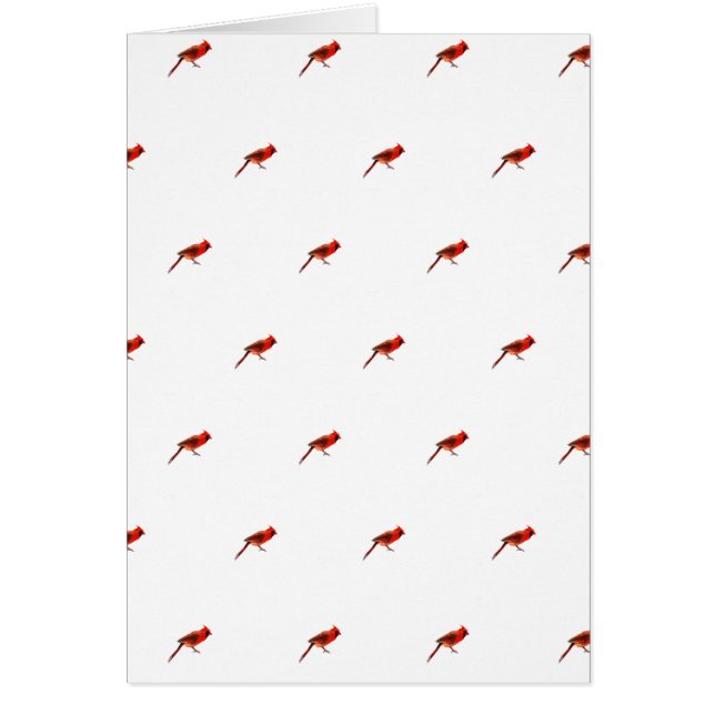 Kardinal(er) Hälsningskort (Framsidan)