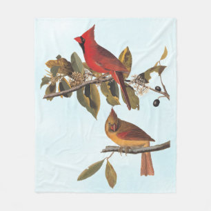 Kardinal Grosbeak Audubon Birds of America Fleecefilt