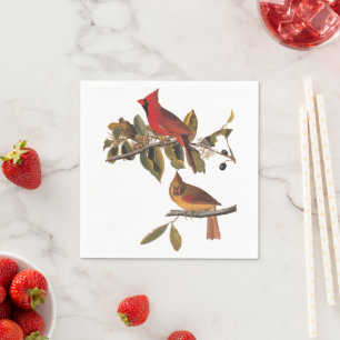 Kardinal Grosbeak Audubon Birds of America Pappersservett