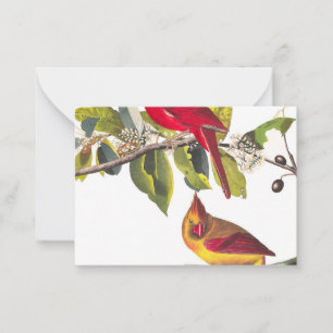 Kardinal Grosbeak av John James Audubon Anteckningskort
